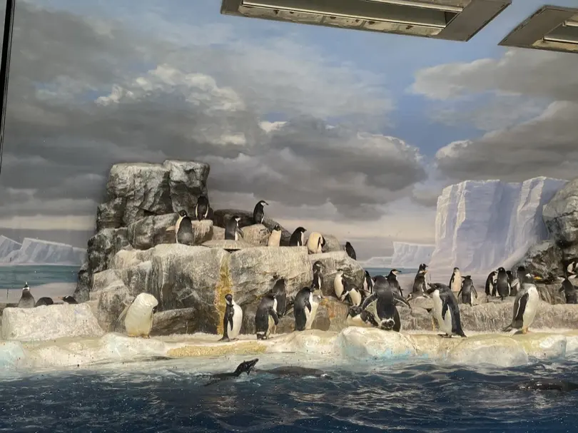 penguin.jpg (3.0 MB)