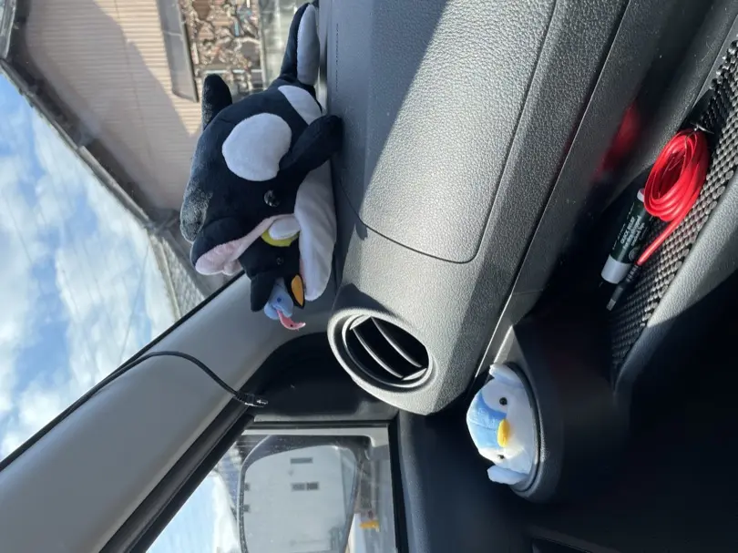 IMG_5997.JPG (4.5 MB)