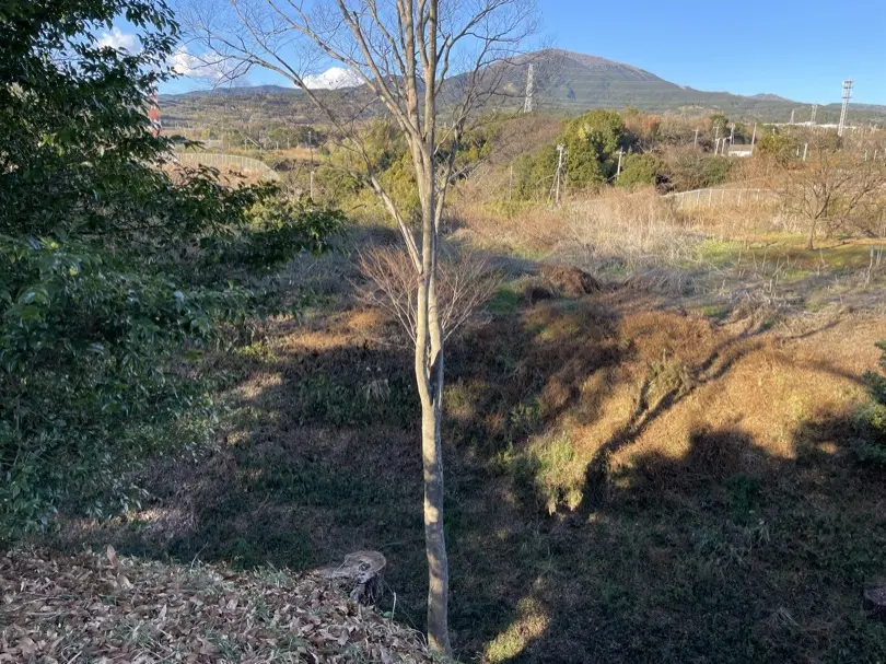 IMG_5897.JPG (7.2 MB)